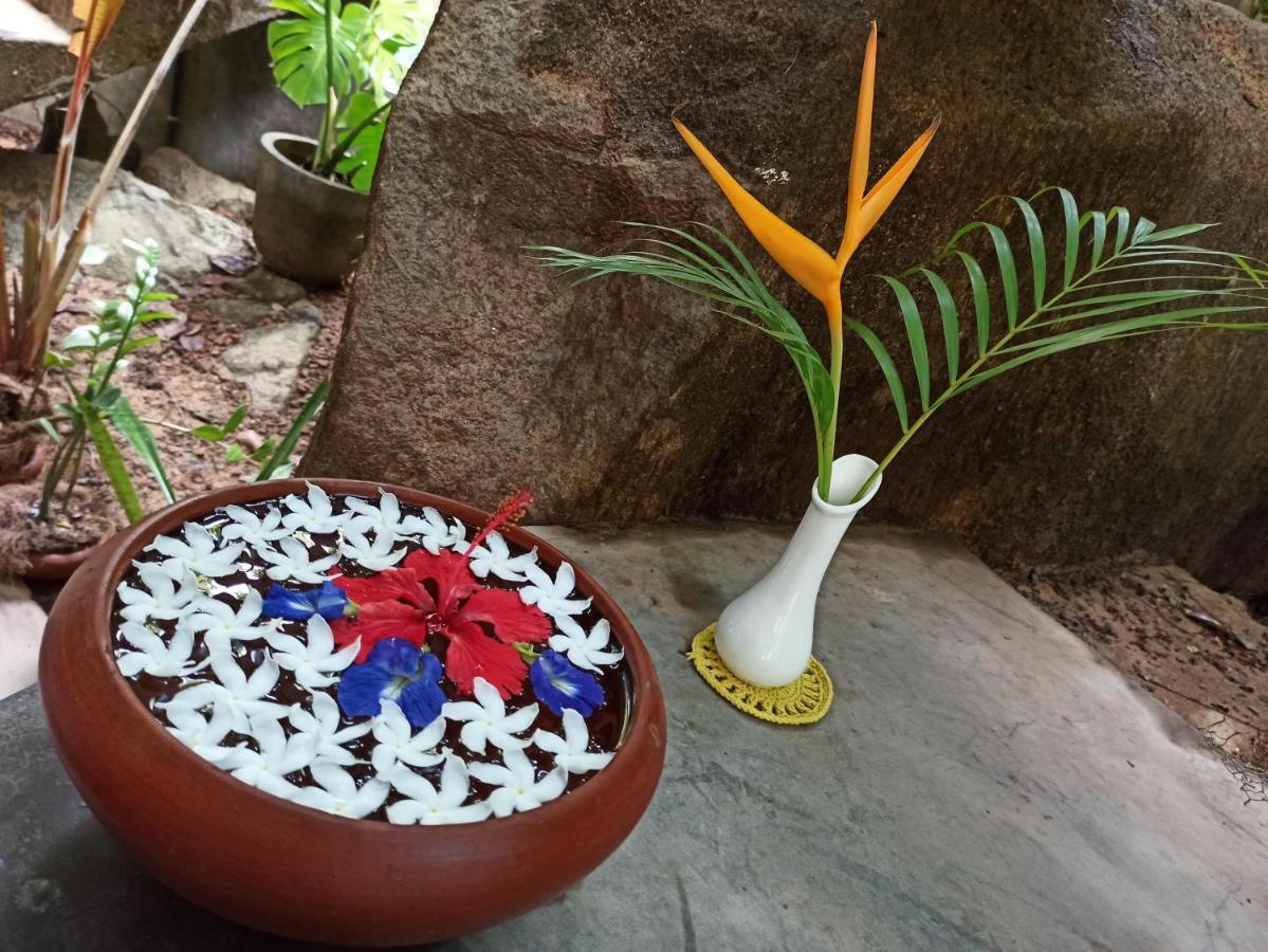 Butterfly Jewel Bed & Breakfast Unawatuna Exterior photo